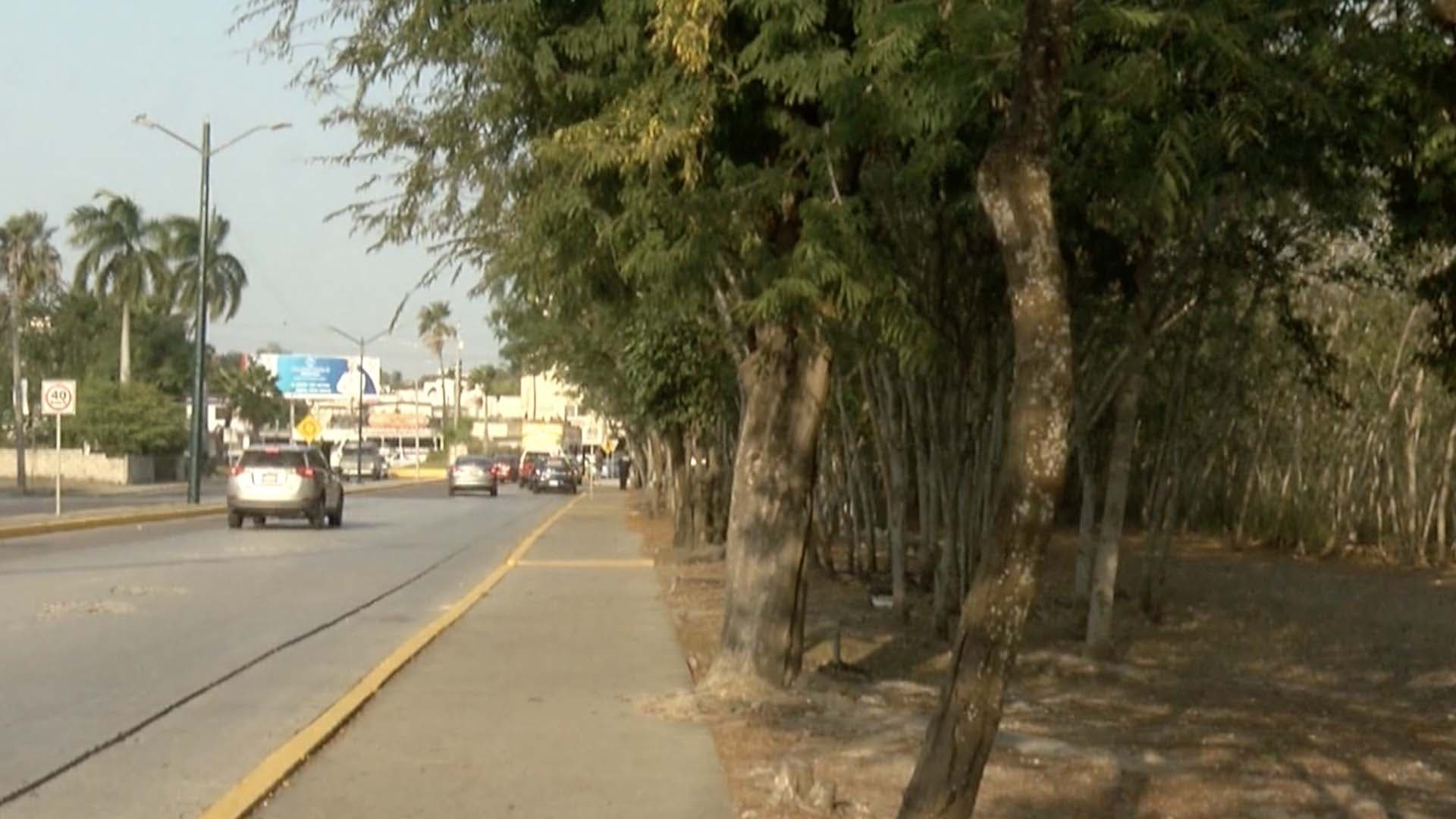 Joven Denuncia Presunto Acoso en Laguna del Carpintero; Hombre Habría Salido sin Ropa