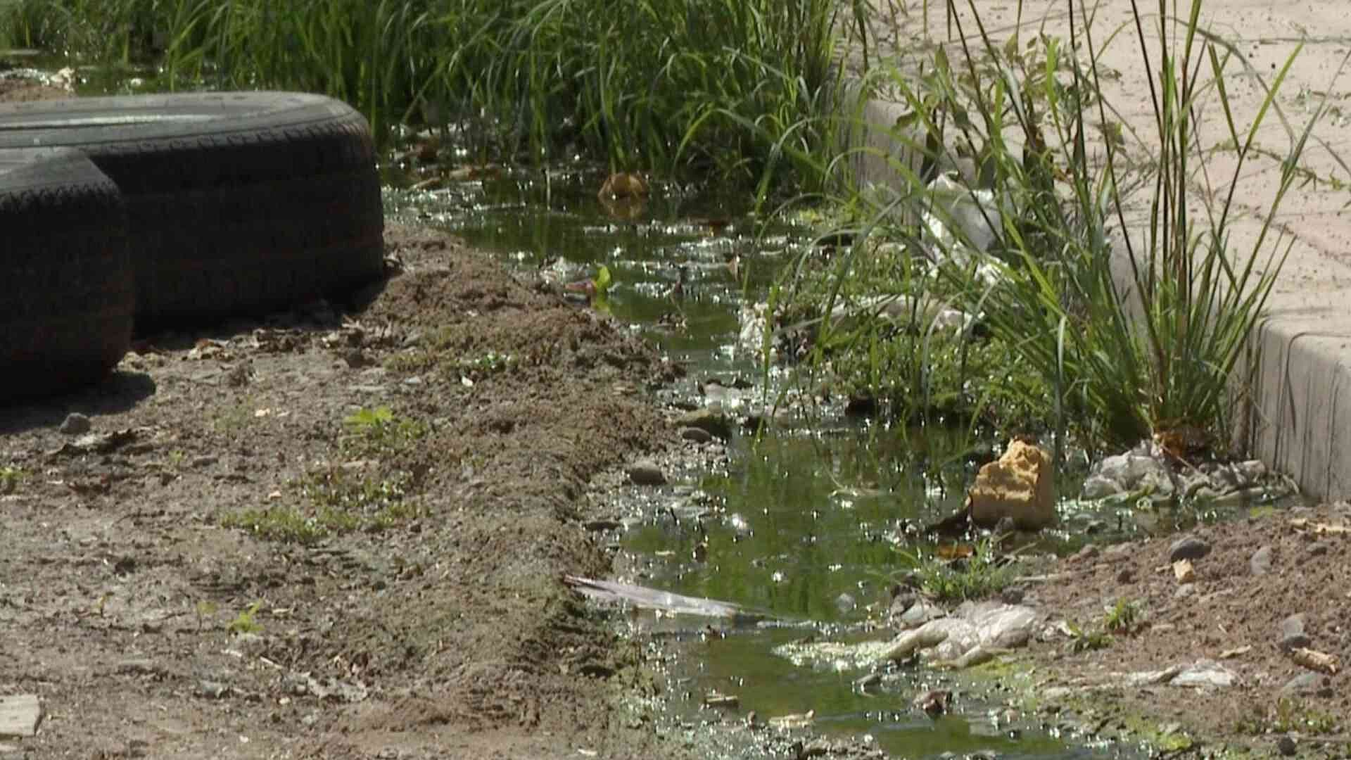 Reportan 6 Meses con Cuatro Fugas de Drenaje en Colonia Palo Verde de Hermosillo