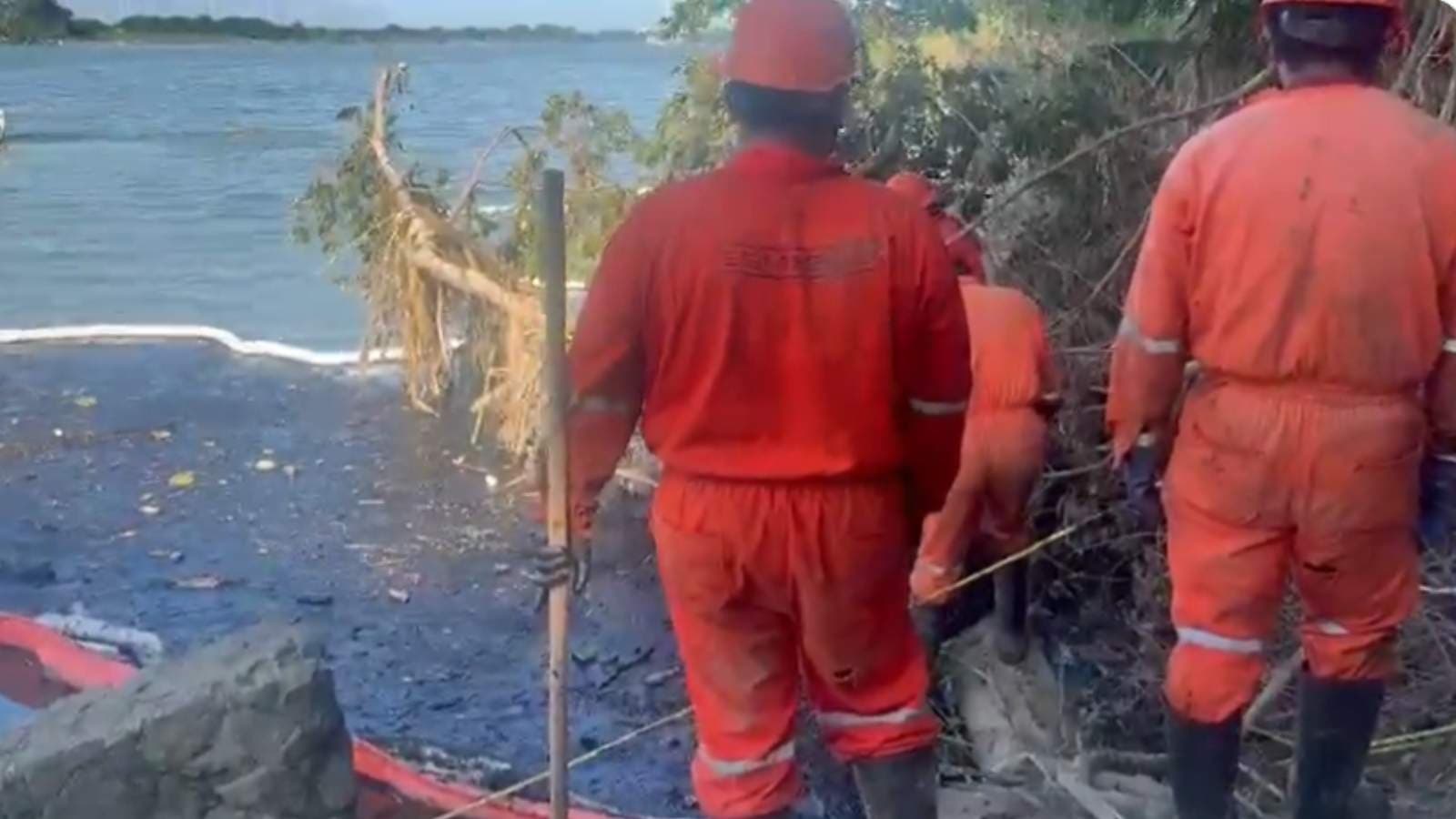 Derrame de Petróleo en Río Tuxpan, Veracruz: Qué Especies Podrían Estar en Peligro