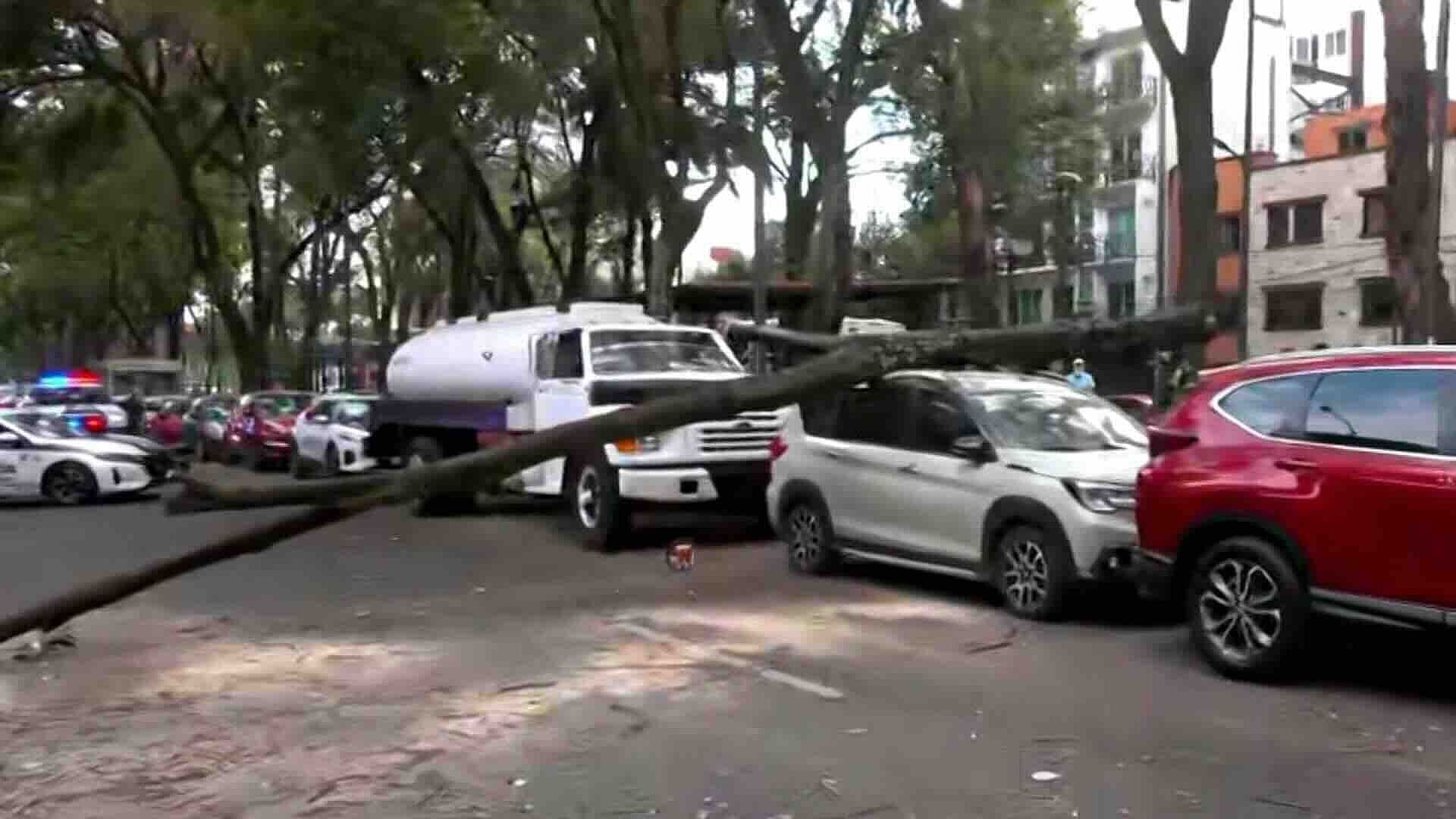 Árbol Cae sobre Camioneta Estacionada en Plutarco Elías Calles, Iztapalapa, CDMX