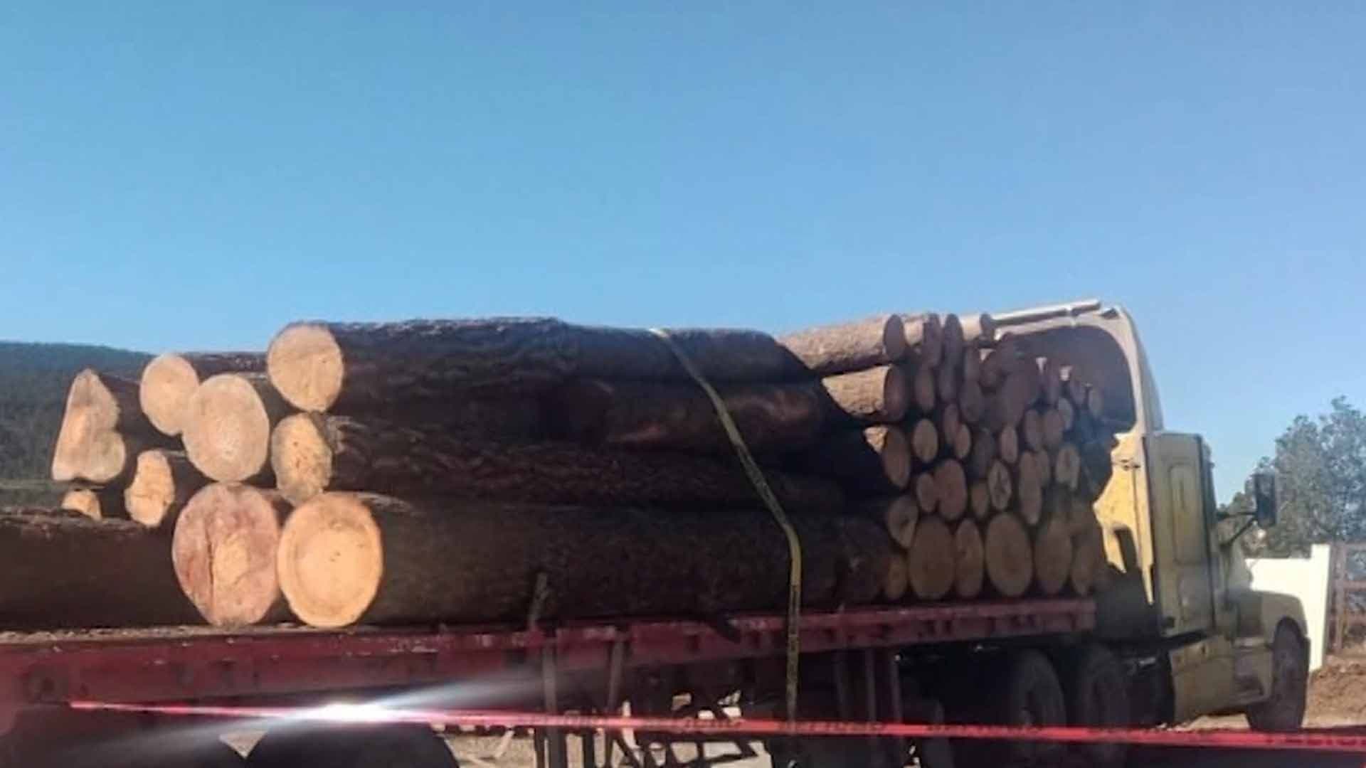 Muere Hombre de la Tercera Edad Aplastado por Tronco en Aserradero de Arteaga