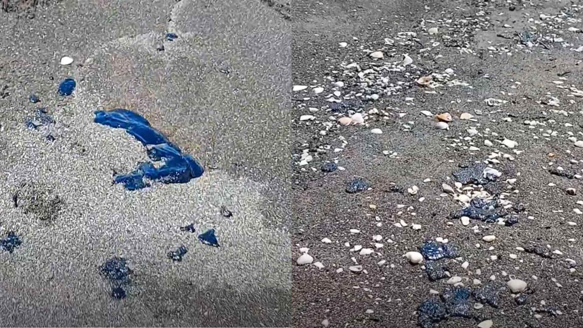 Reportan Presencia de Hidrocarburo en Playas de Nautla, Veracruz