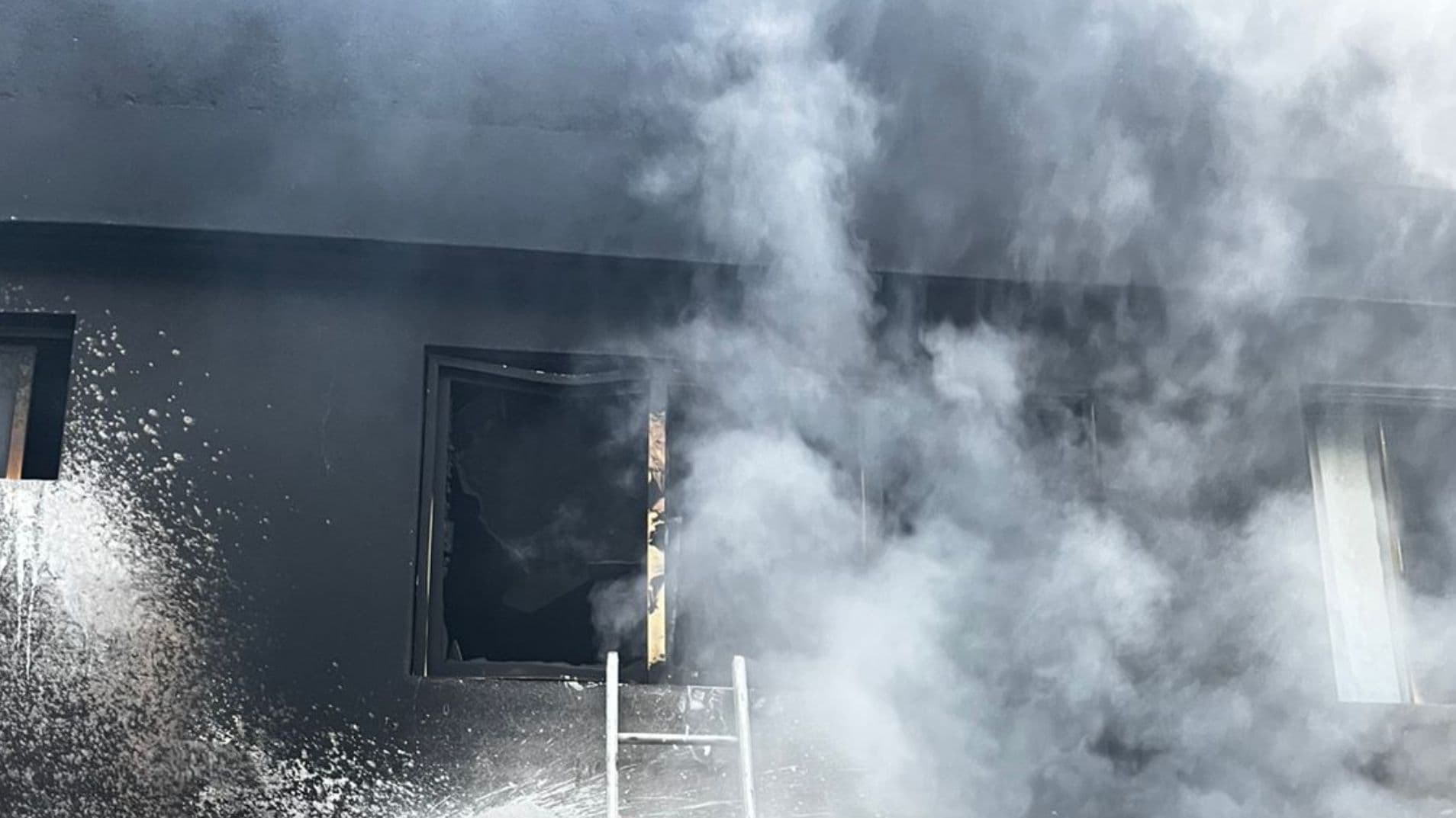 Incendio en San Juan de Aragón Deja 3 Perros Muertos y una Mujer Rescatada