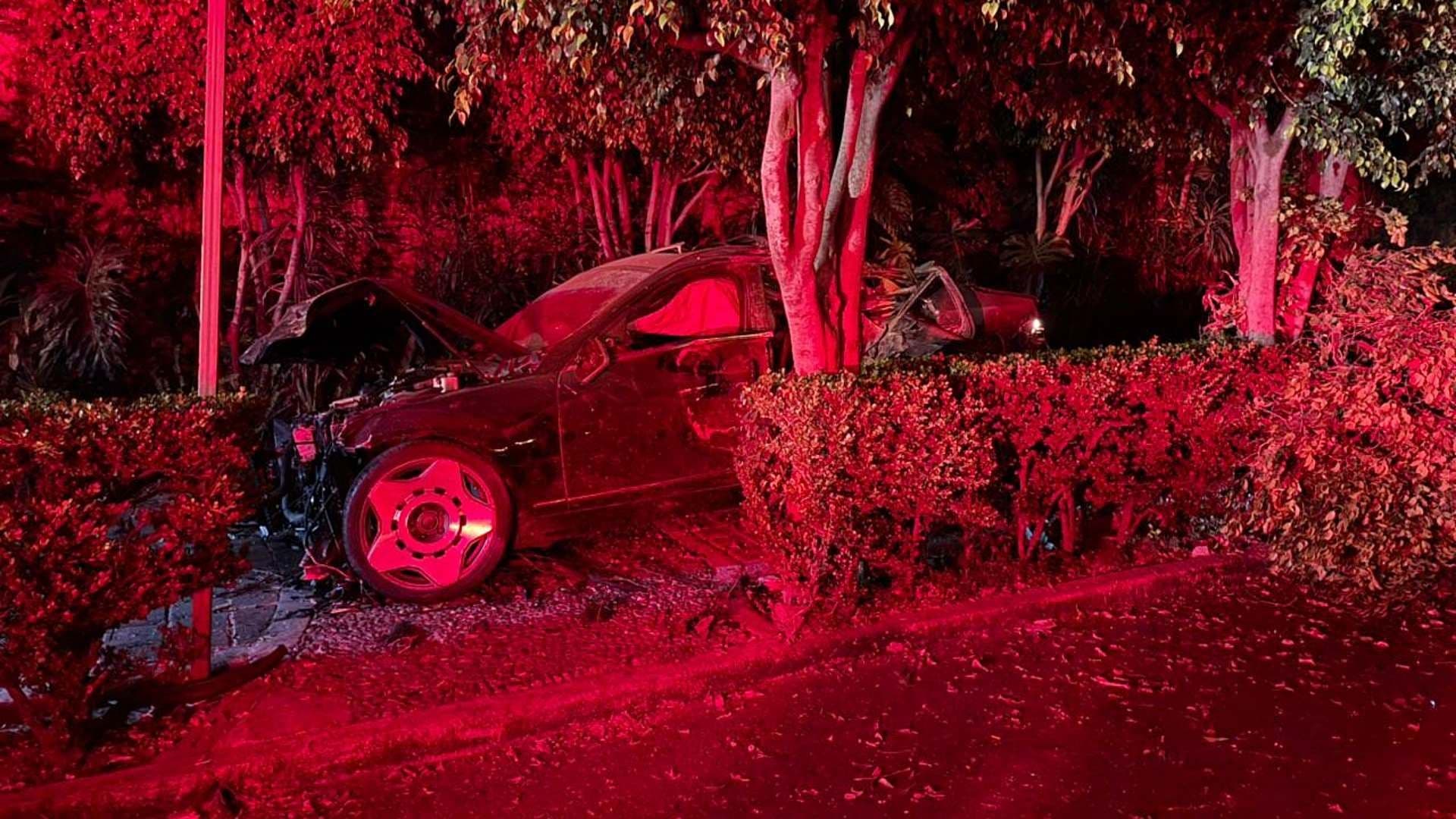 ¿Qué Pasó en Insurgentes Sur Hoy? Auto Queda Destrozado tras Chocar y Derribar Árboles y Postes