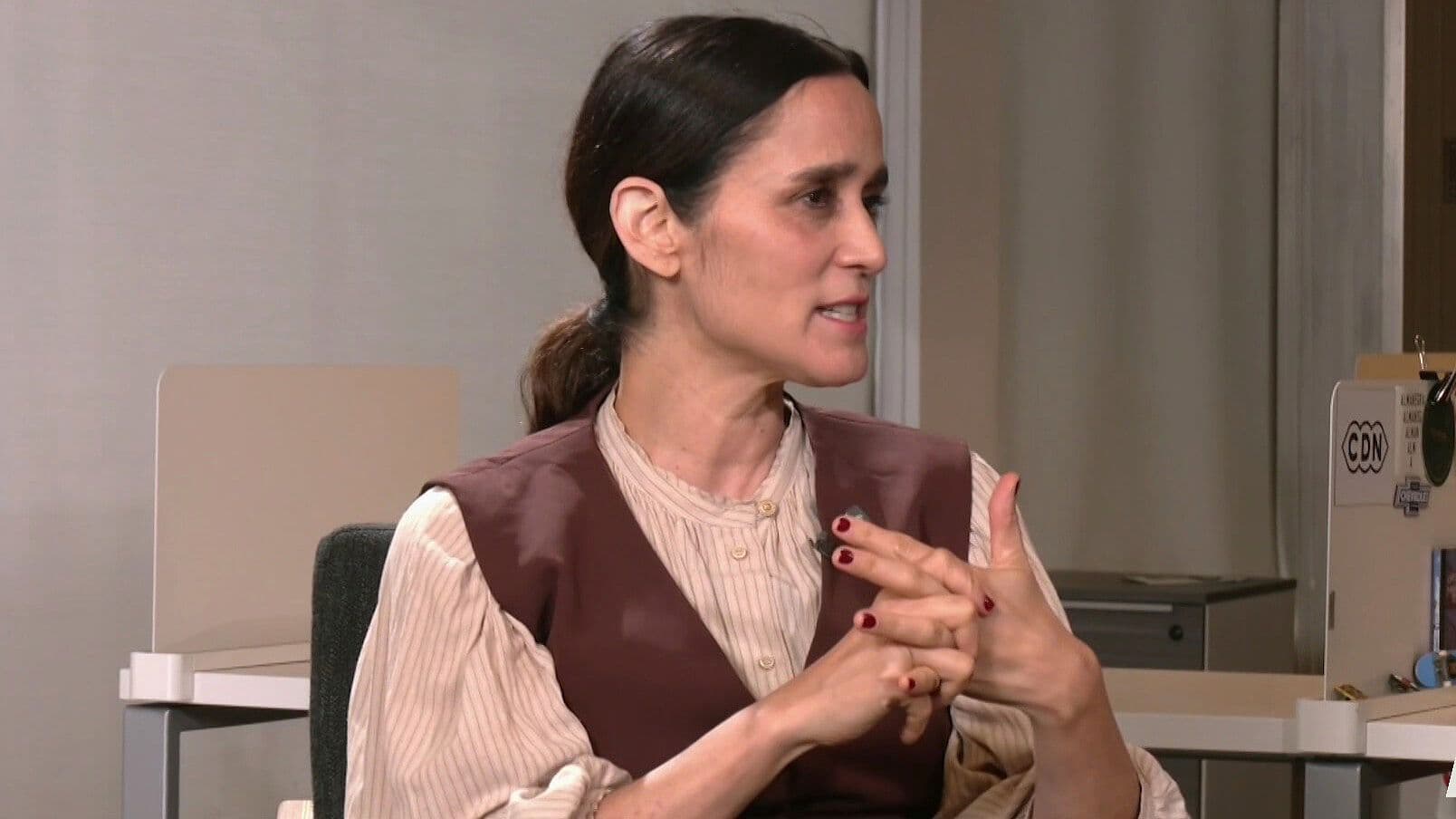 Entrevista N+ con Julieta Venegas, Narradora del Documental ‘Flamingos, la Vida Después del Meteorito’