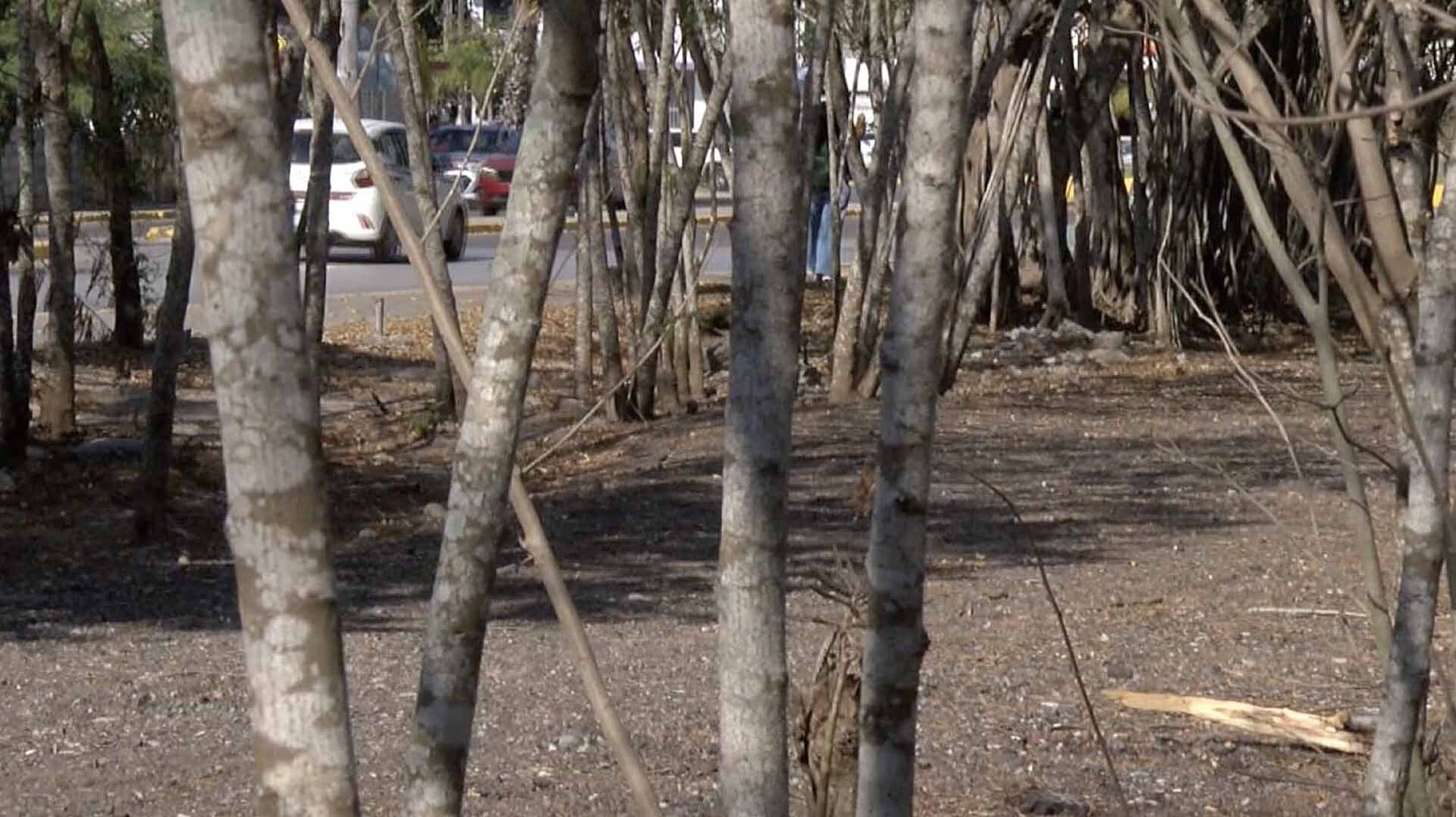 Detienen a Sujeto por Realizar Actos Indebidos en Laguna del Carpintero