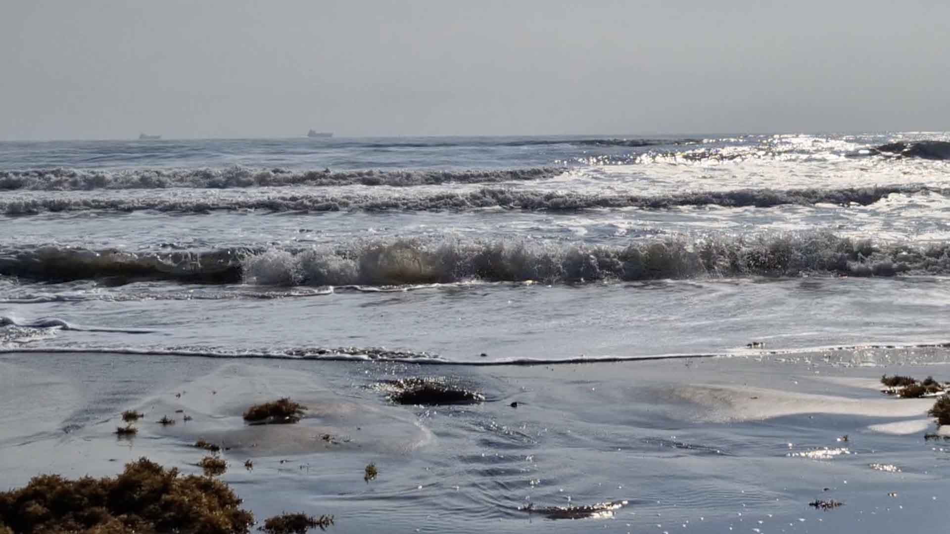 Marina Limpia Playa Hermosa en Veracruz por Presencia de Hidrocarburo Previo a Semana Santa 2026