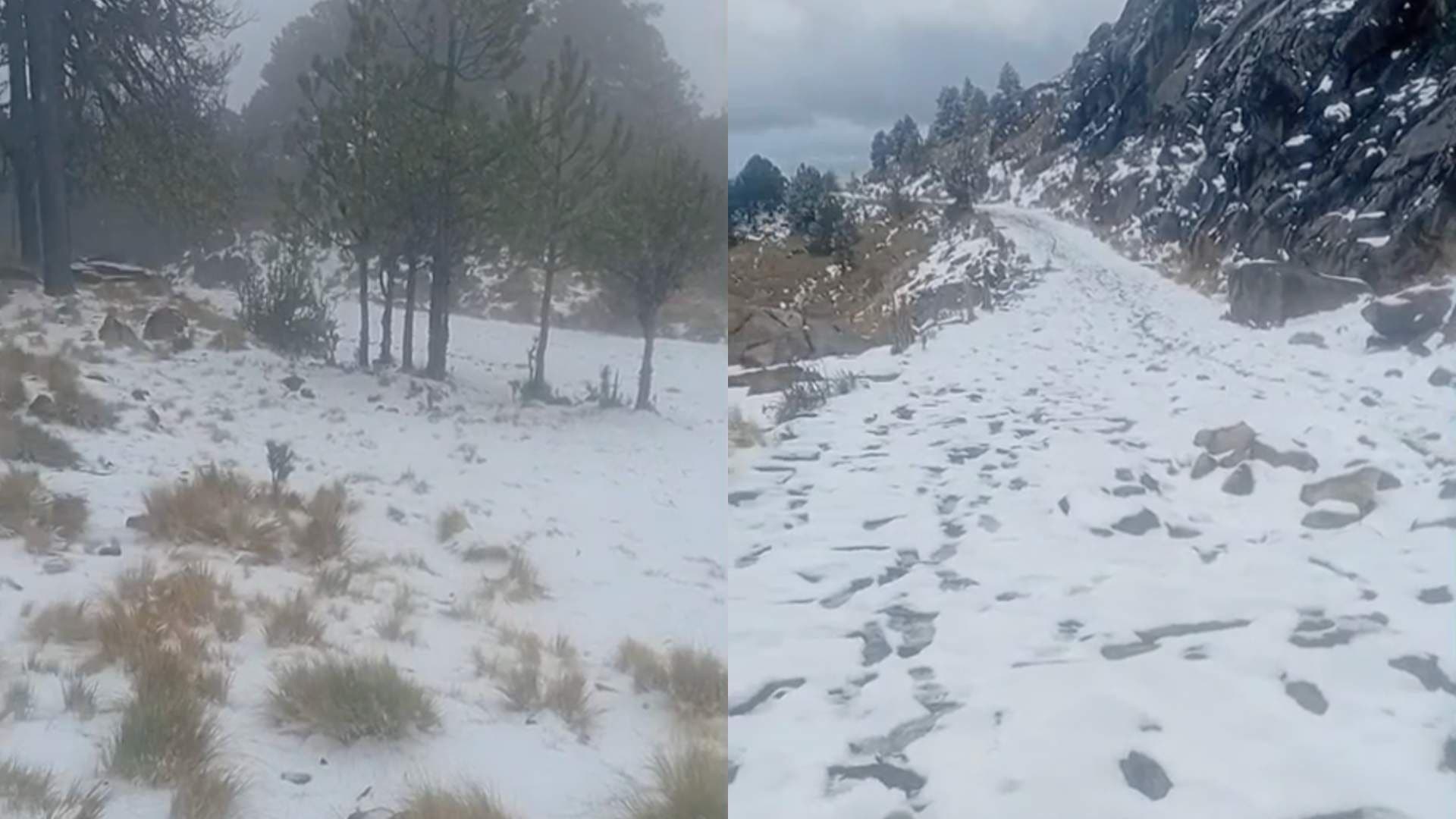 Se Registra Nevada Hoy en Plena Primavera en Cofre de Perote, Veracruz