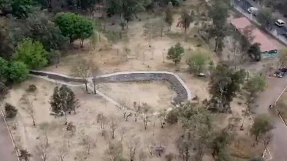Por Asesinatos de Perros, Vecinos Piden Seguridad en Nativitas