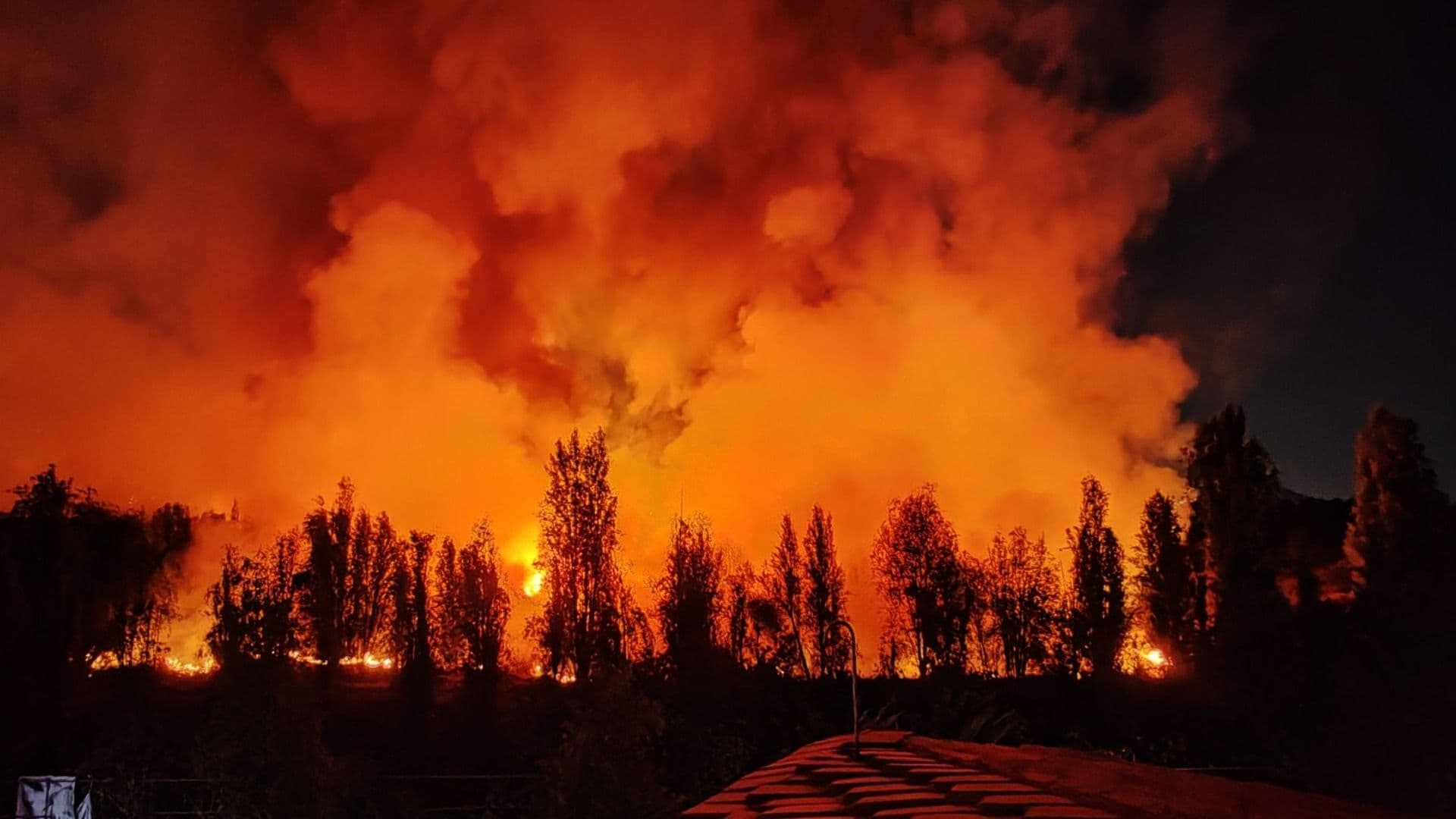 Controlan Incendio en Zona de Cuemanco de la Alcaldía Xochimilco Luego de 2 Horas