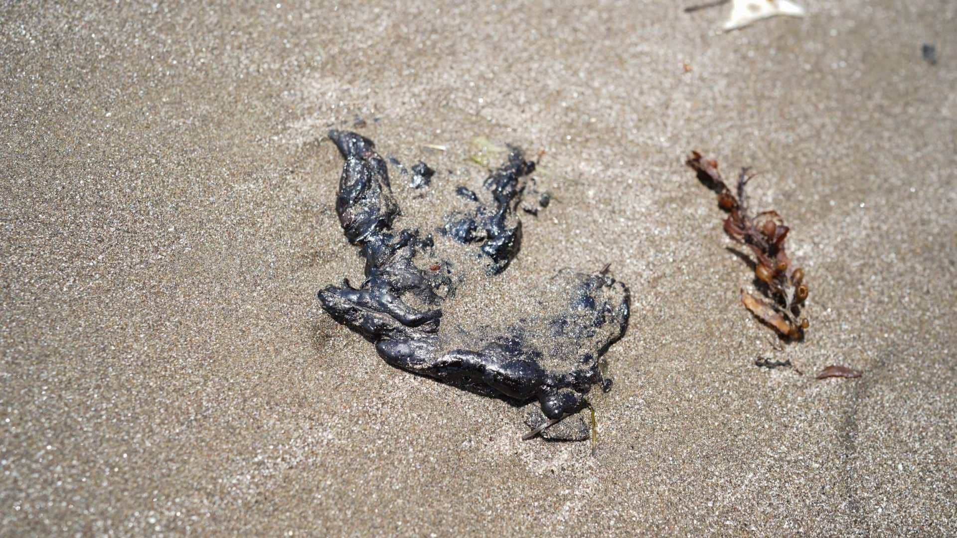 Derrame de Petróleo en el Golfo de México: Llaman a Sumarse a Colecta Masiva de Cabello