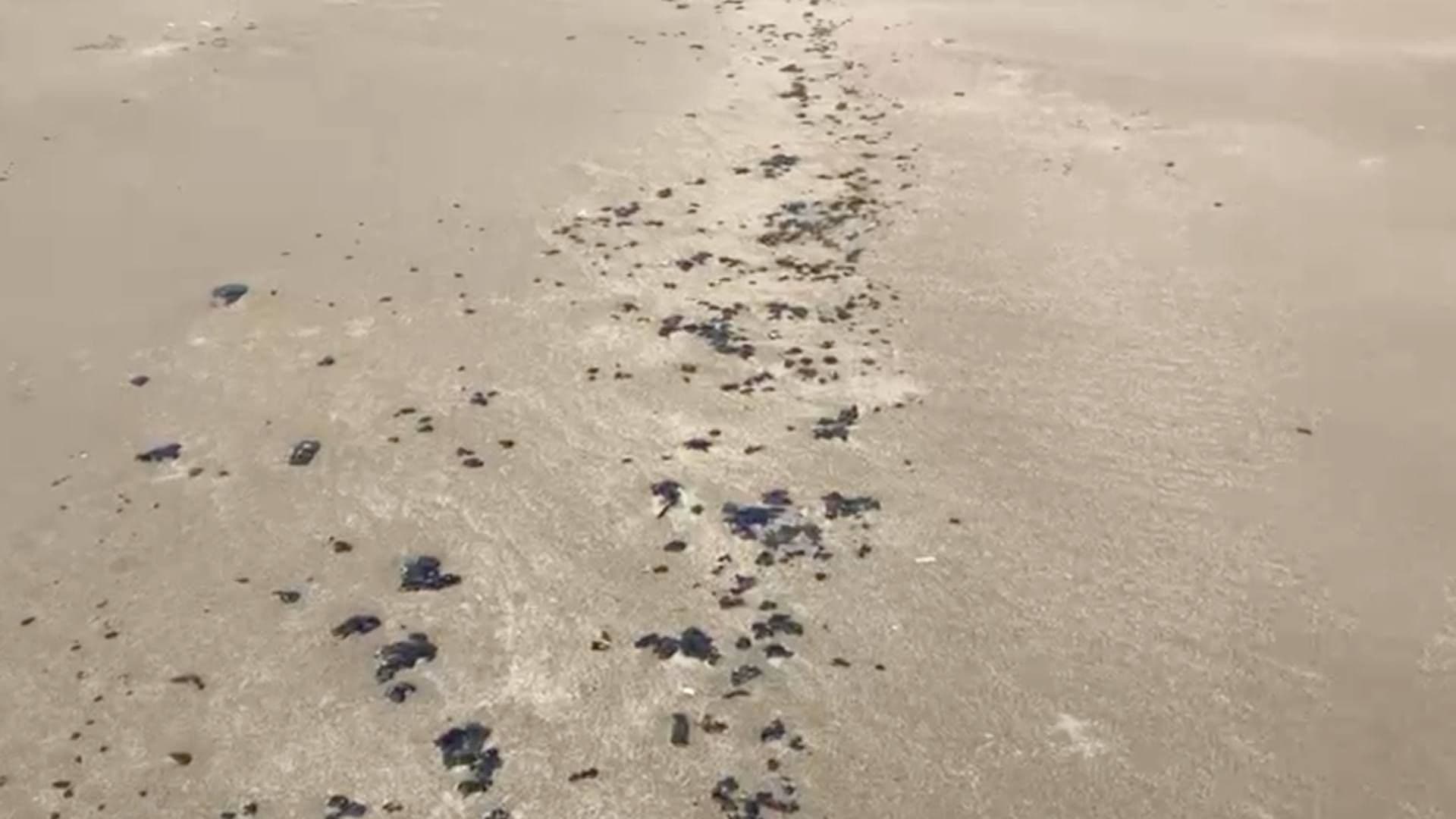 Arriba Chapopote a Playa de Coatzacoalcos, al Sur de Veracruz