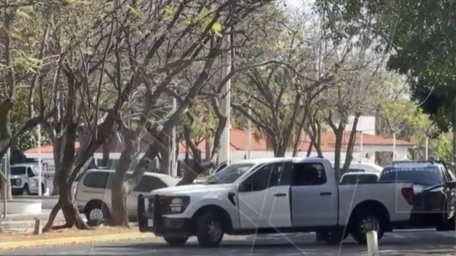 Ana María: Ella es la Mujer que Murió al Quedar en Medio de Balacera tras Caída de “El Mencho”