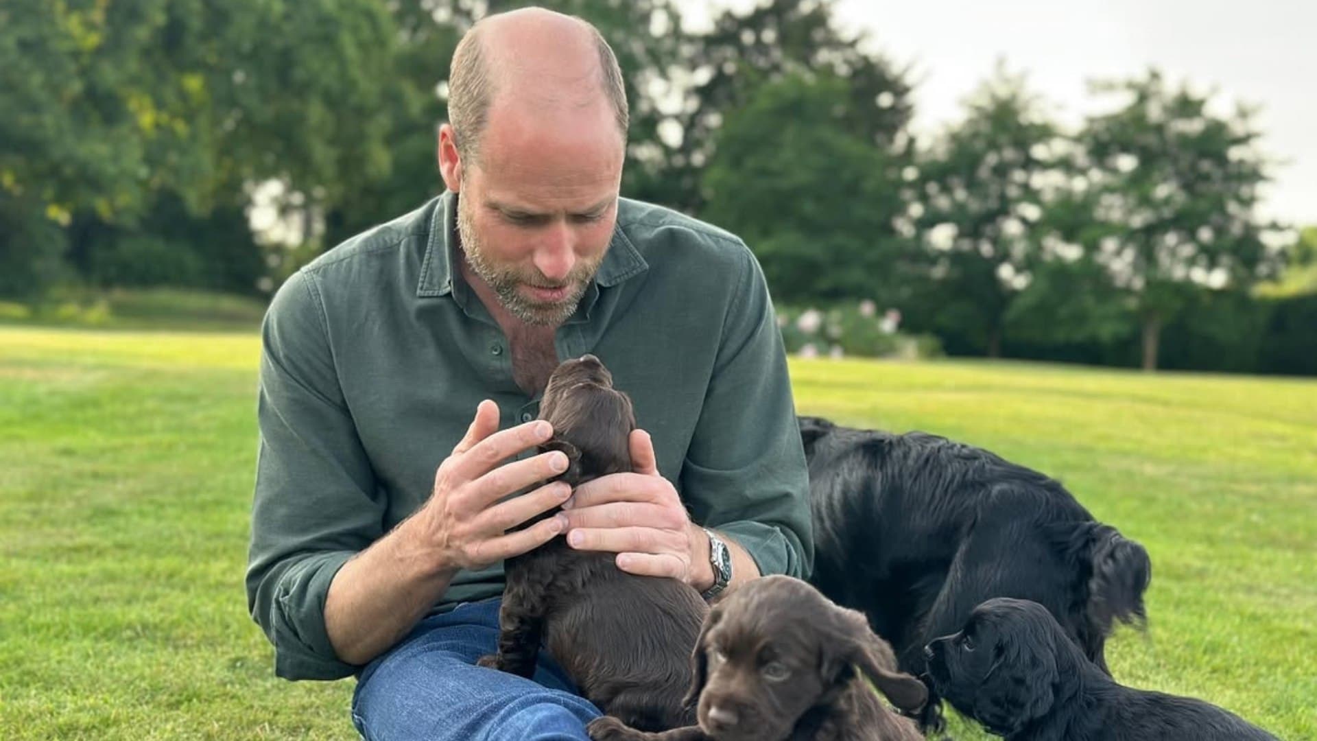 Príncipe Guillermo Celebra su 43 Cumpleaños con una Foto Rodeado de sus Perros