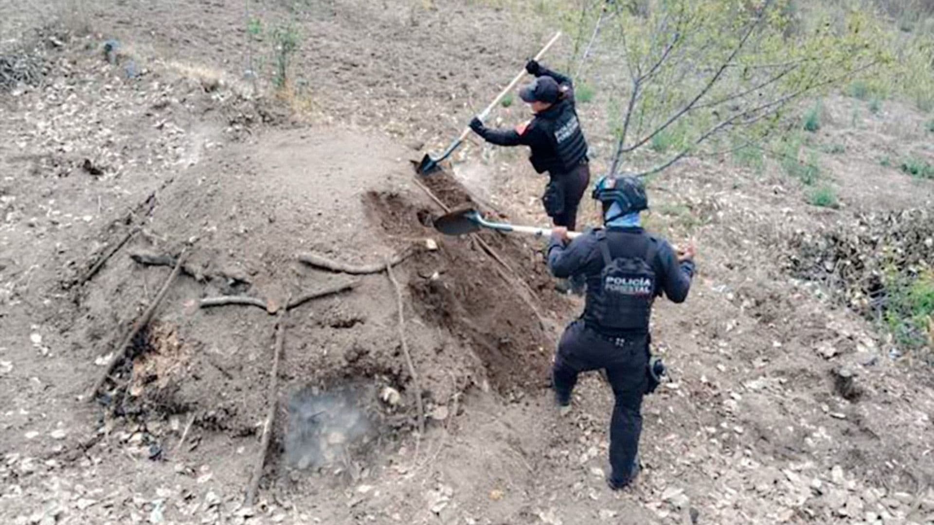 Eliminan Seis Hornos Clandestinos de Madera en Santiago Xalitzintla, Puebla