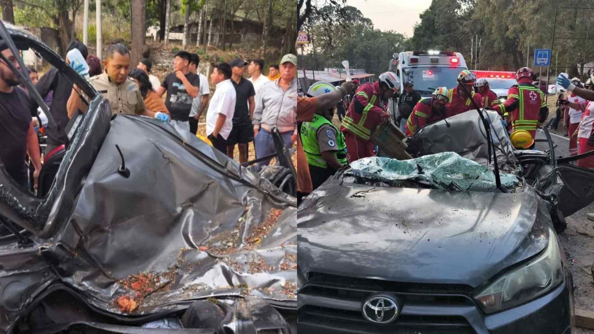 Tragedia en la México–Cuernavaca: Cae Árbol en Huitzilac, Aplasta Auto y Deja Tres Muertos