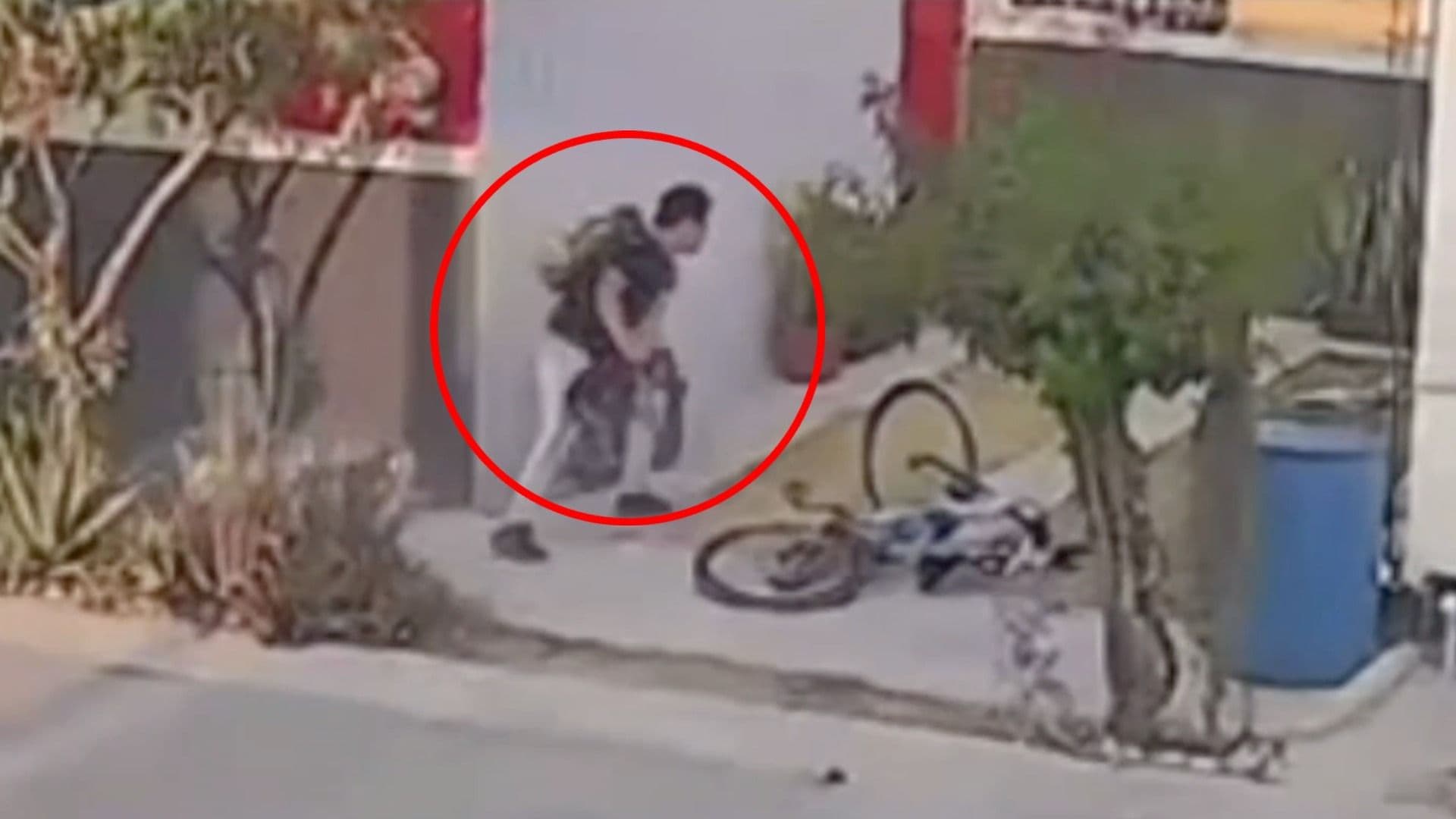 Video: Hombre Golpea a Perro en Colonia Bosques de San Roque en Juárez, Nuevo León