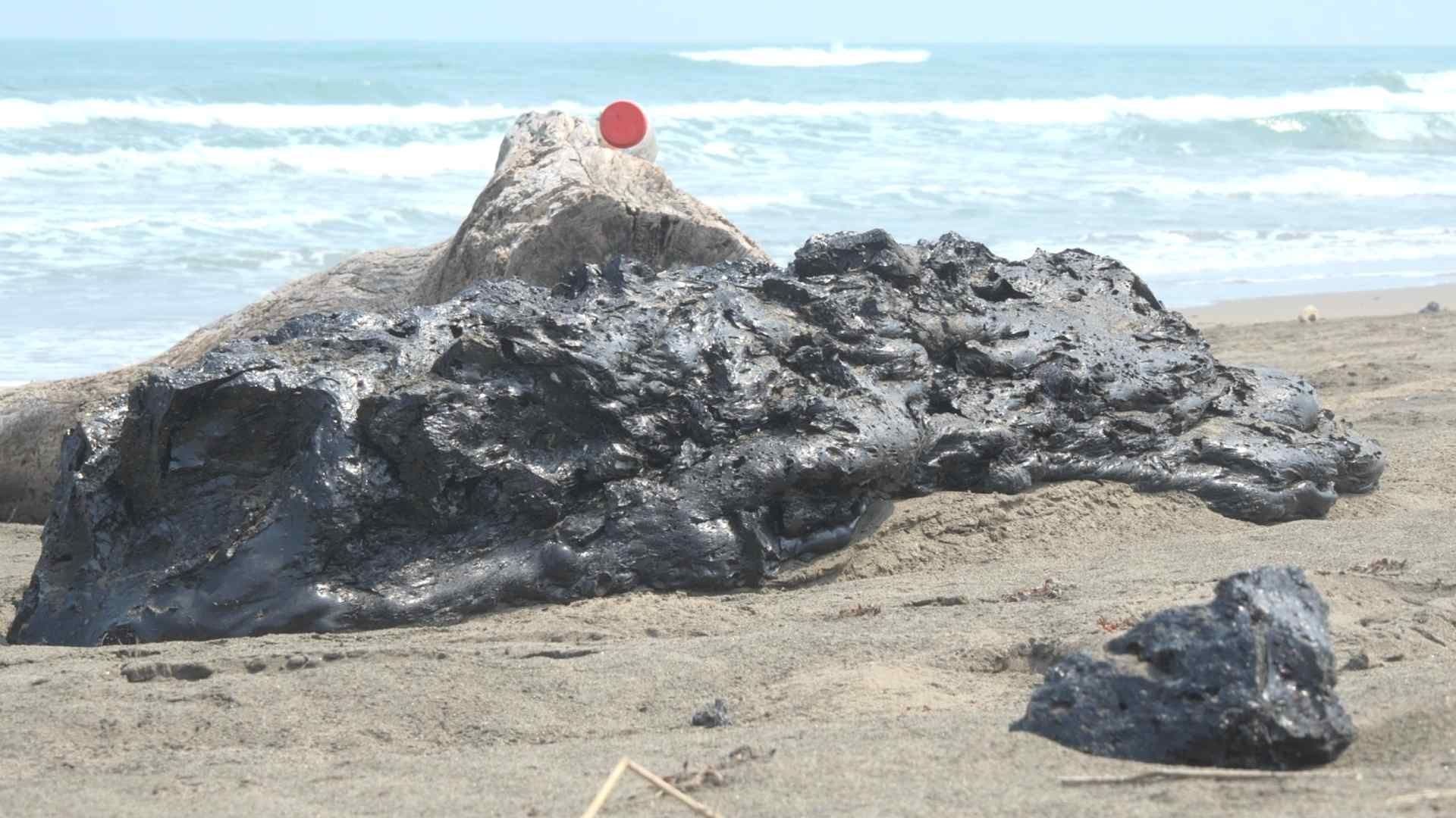 Juez Federal Concede Amparo por Derrame de Hidrocarburo en Golfo de México; ¿De Qué se Trata?