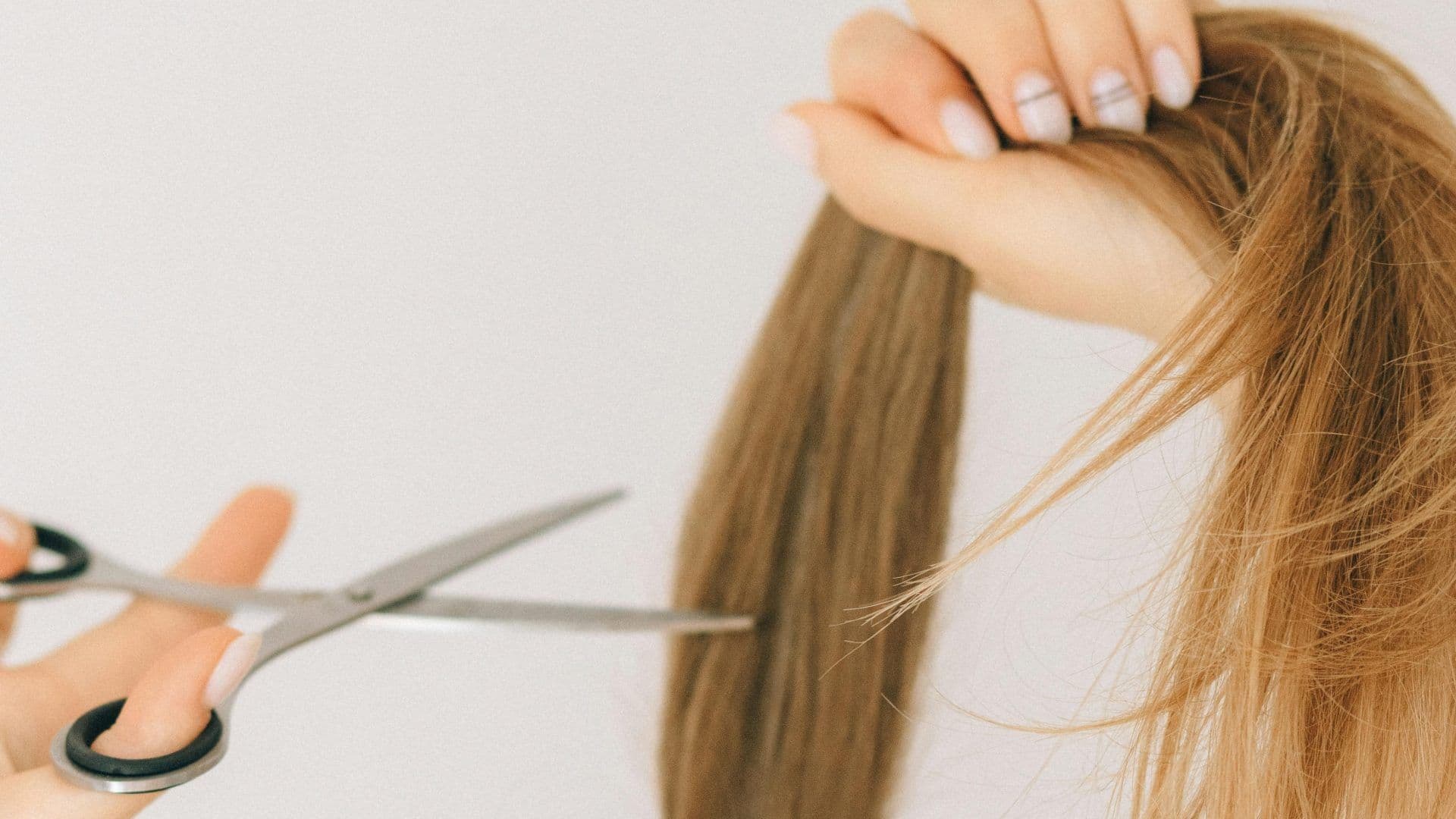 ¿Dónde Puedes Donar Cabello en BC? Inicia Recolecta para Limpiar Derrame en Golfo de México