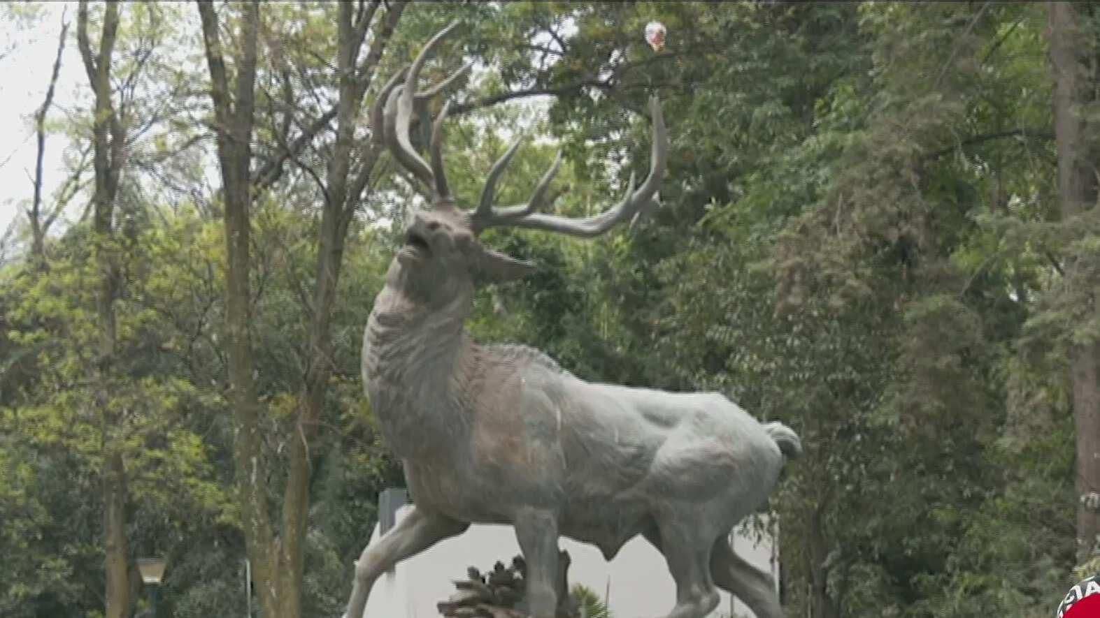 ¿Qué hacer en el Parque de los Venados?