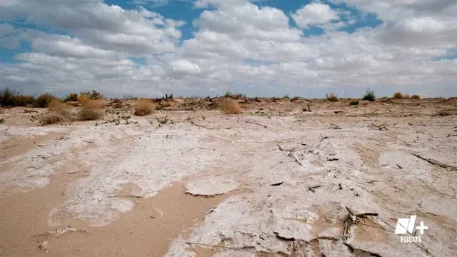 Río Colorado. La disputa por el agua en tiempos de sequía. N+ Focus