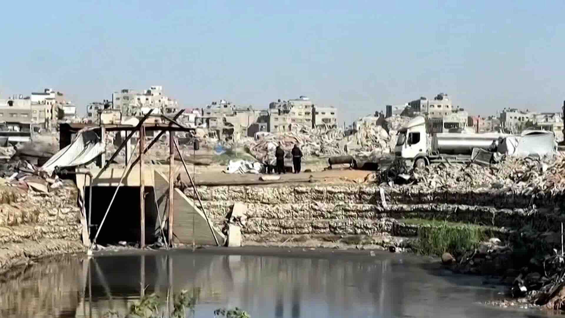 Plagas de Ratas e Insectos Agravaron Crisis Humanitaria en Franja de Gaza
