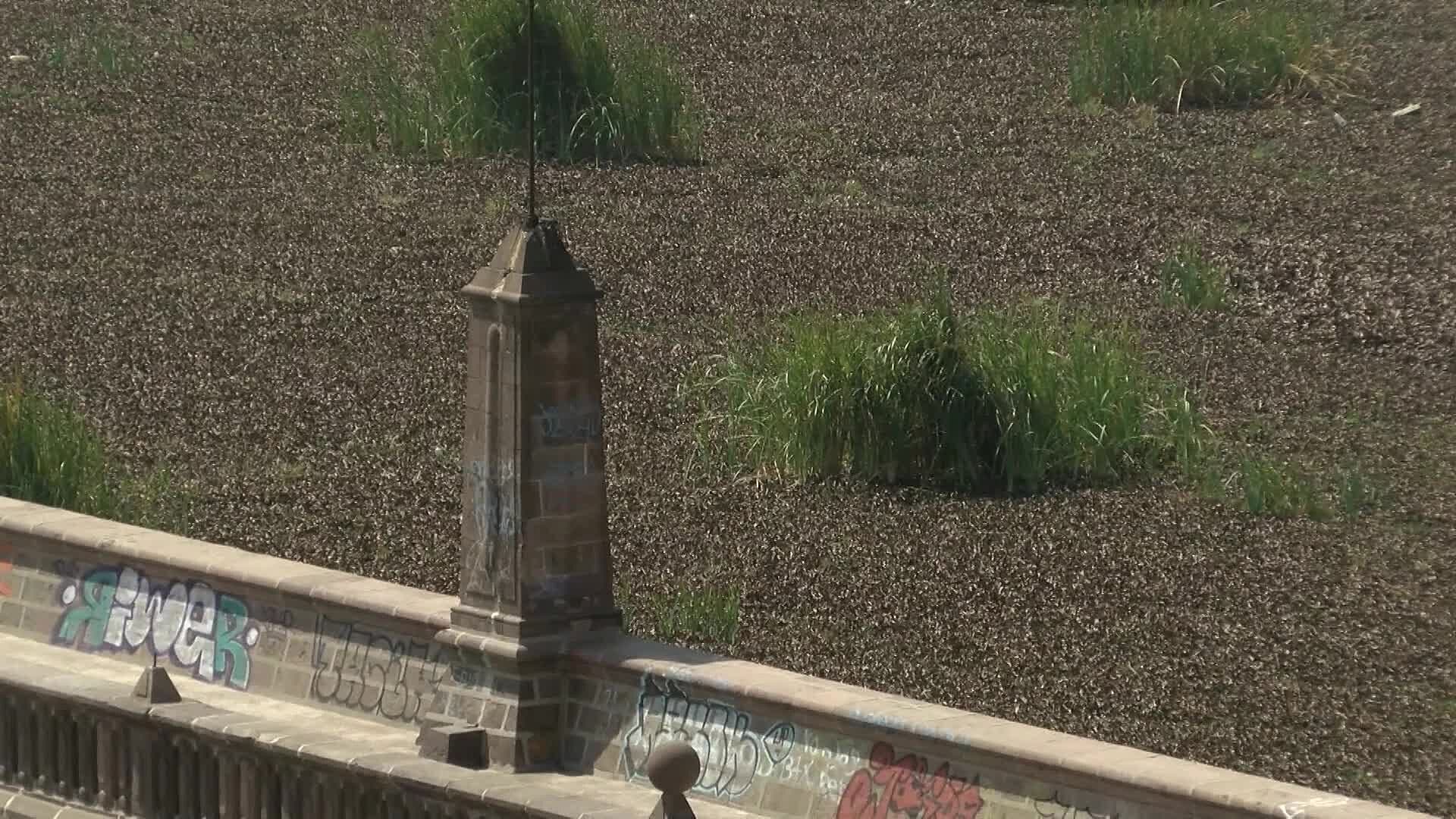 Querétaro se Previene Ante Temporada de Lluvias y Posible Fenómeno El Niño