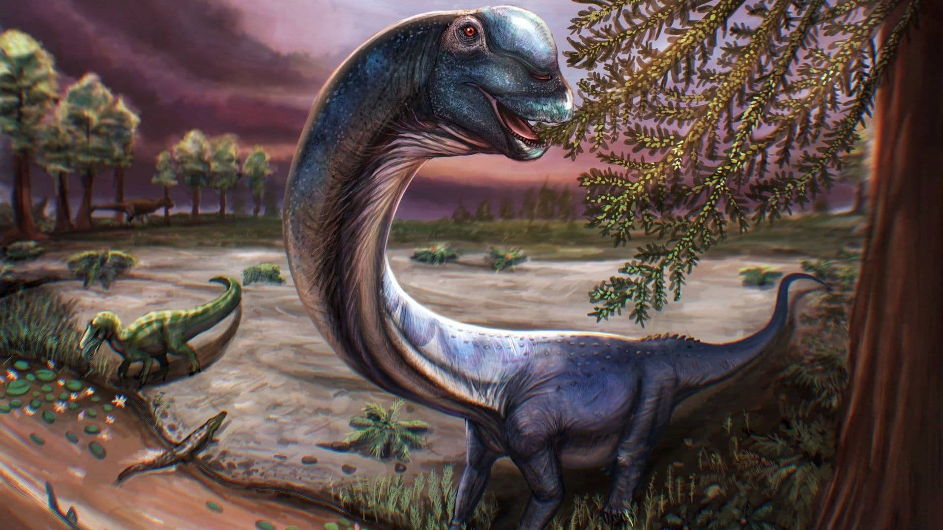 Fotos: Así Es el ‘Último Titán’, Un Dinosaurios Gigante, de los Más Grandes del Mundo