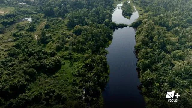 N+ Focus Dos Bocas Al Margen de la Ley Ambiental.