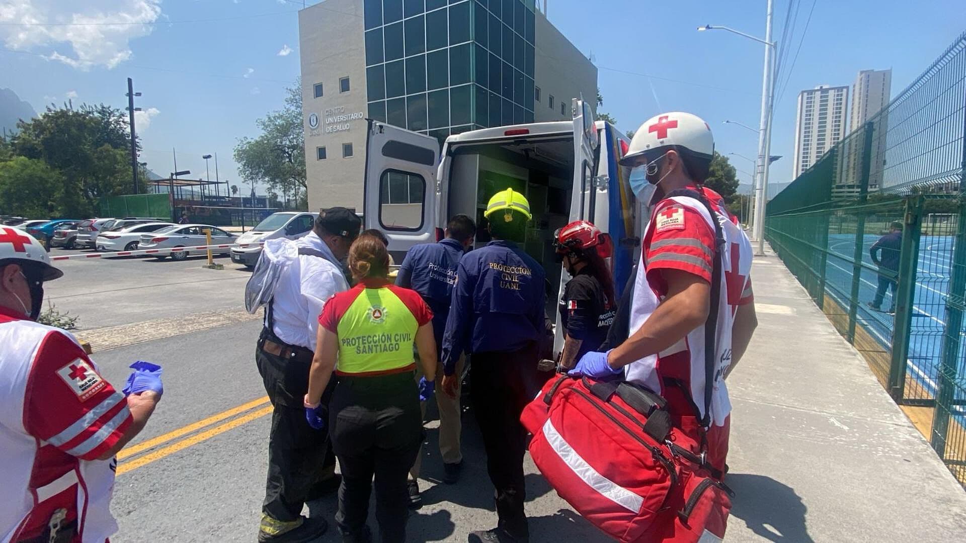 Reportan un Muerto y Dos Heridos tras Ataque de Abejas en Santiago, NL