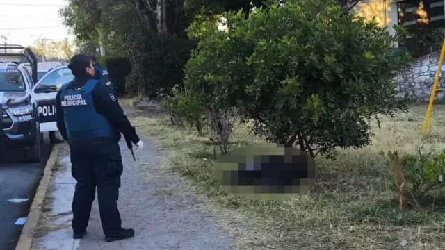 No ha sido identificada la víctima abandonada en bolsas de basura en Puebla. Foto: N+