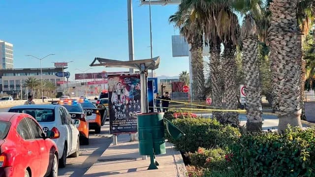 Muere-Mujer-Bajar-Camion-Carretera-Torreon-San Pedro