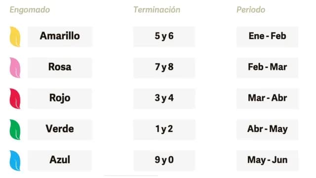 Calendario del primer semestre de 2025 para verificar en Puebla. Foto: Verificentros Puebla