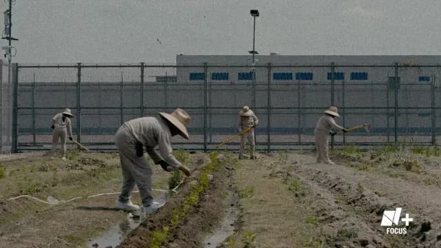 CEFERESO 16: Así es la Prisión Federal de Mujeres en México. Foto: N+ Focus
