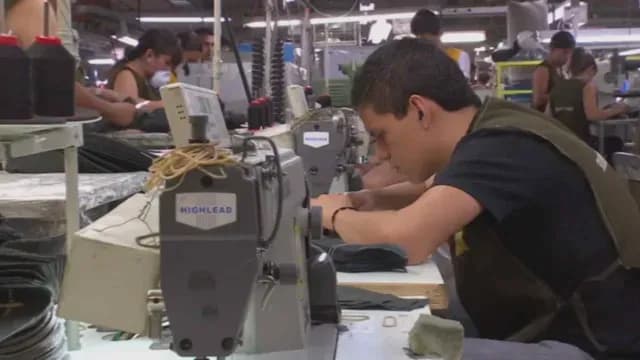 El gobierno de Jalisco brindará apoyos a micro, pequeñas y medianas empresas