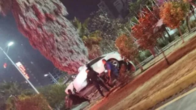 El auto de lujo color blanco se impactó contra una palmera en Puebla. Foto: X @ciudadano_pue