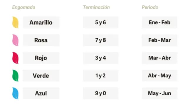 Calendario del primer semestre de 2025 para verificar en Puebla. Foto: Verificentros Puebla