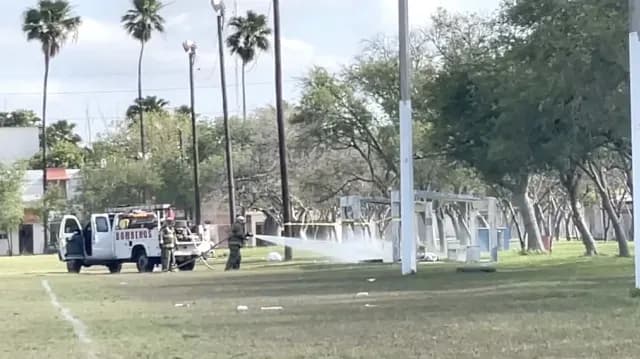 Menores son Atacados por Abejas Durante Juego en Matamoros
