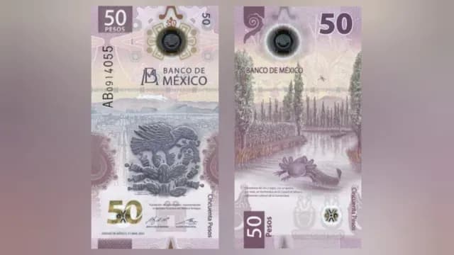 Billete bonito 2021