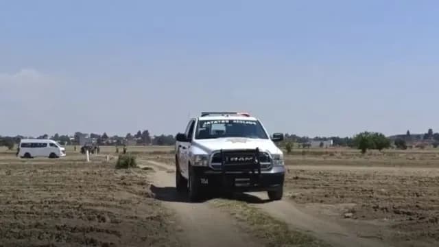 Investigan hallazgo de una mujer sin vida en campos de cultivo de Cholula. Foto: N+