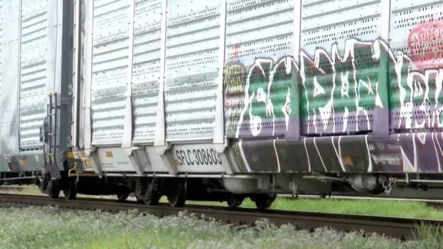 Muere-Hombre-Arrollado-por-Tren-en-Piedras-Negras