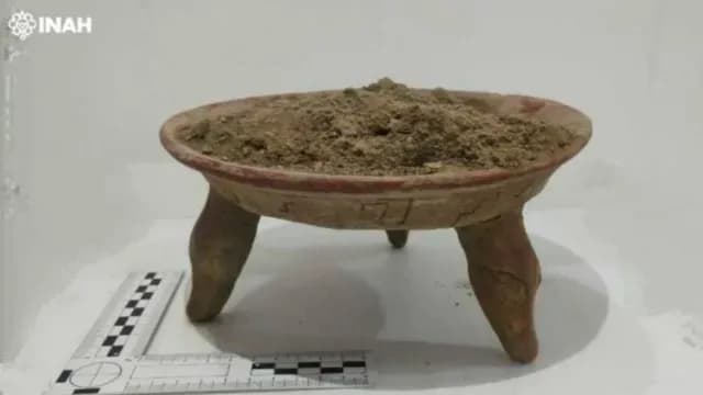 Localizan vasijas históricas en Izúcar de Matamoros, Puebla. Foto: INAH