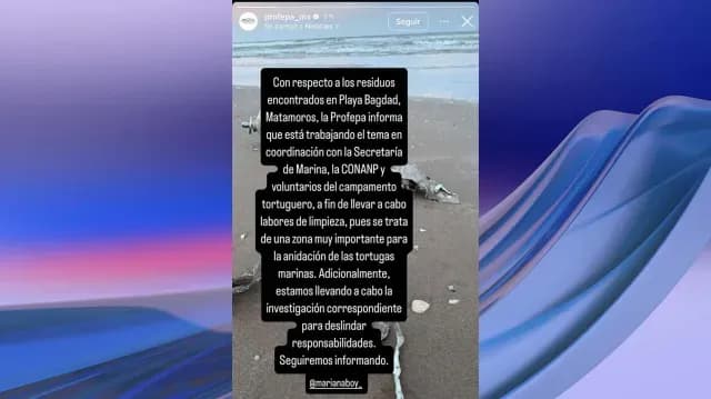 Profepa se Pronuncia Ante Denuncias de Desechos en Playa Bagdad