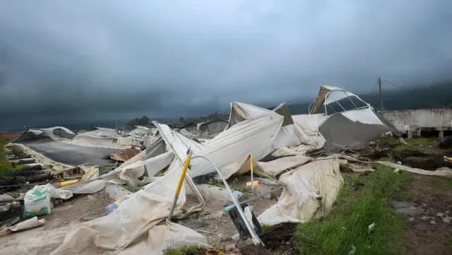 Un invernadero terminó con daño severo por un mini tornado en la Sierra Norte. Foto: Gobierno Chignahuapan