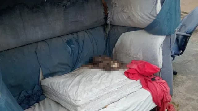 Por abandono y maltrato la perrita no logró sobrevivir en la UH Rivera Anaya. Foto: FGE Puebla