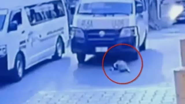 David "N" atropelló a ser sintiente con unidad de transporte público