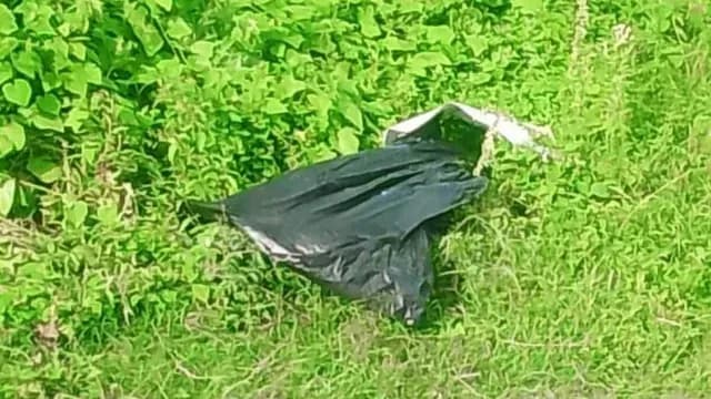 La hermana del hoy occiso hizo su declaración con la policía en el lugar del hallazgo. Foto: N+