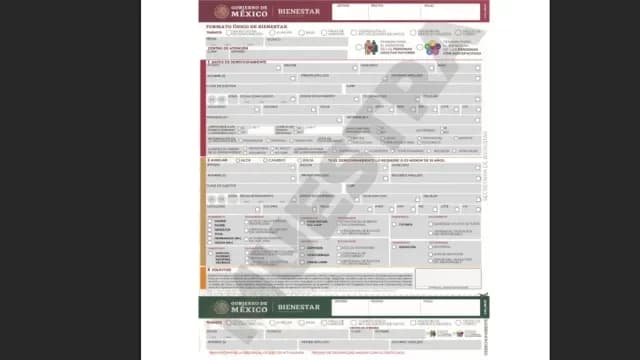 Muestra del Formato de Bienestar 2025