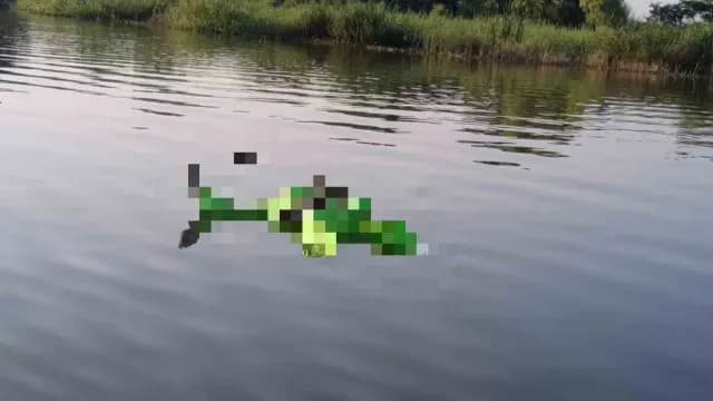 Localizan Cuerpo en Laguna del Chairel en Tampico