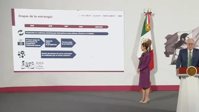 En la Mañanera del Pueblo de este 3 de septiembre, explicaron las características de los plaguicidas. Foto: Gobierno de México